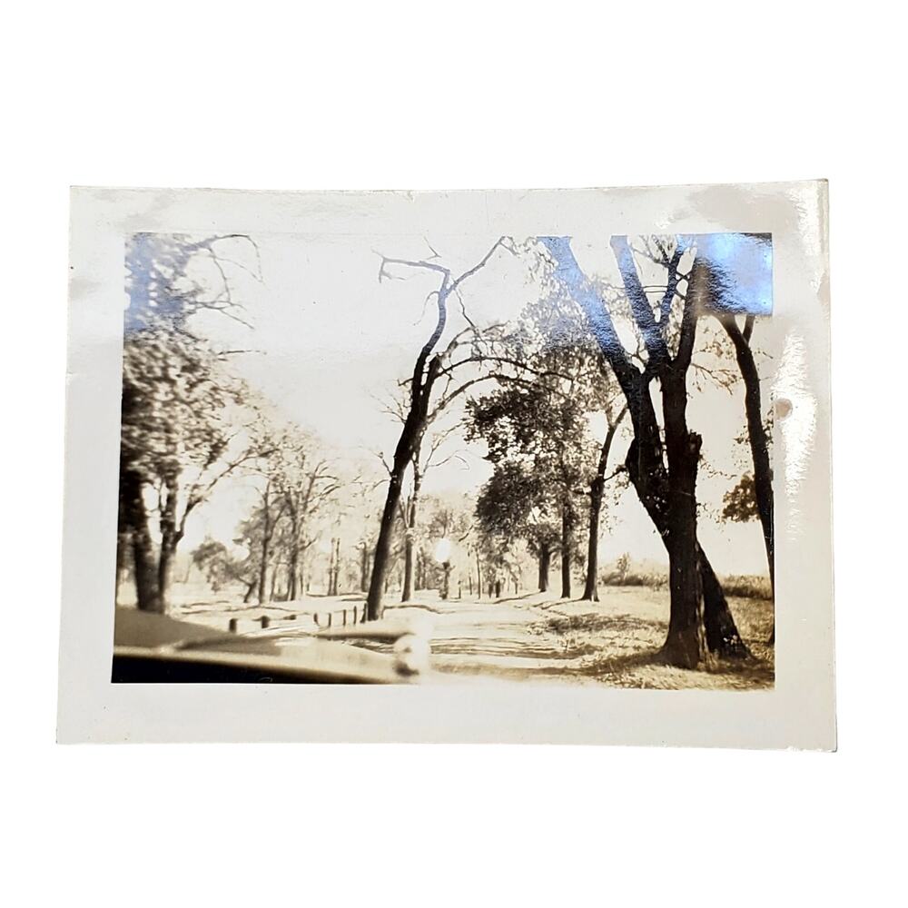 Vtg Beautiful Nature Trail Car View Original Monochrome Photography Found